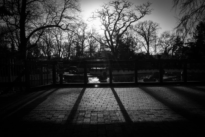 a bench sits near a fence, trees and fenced area