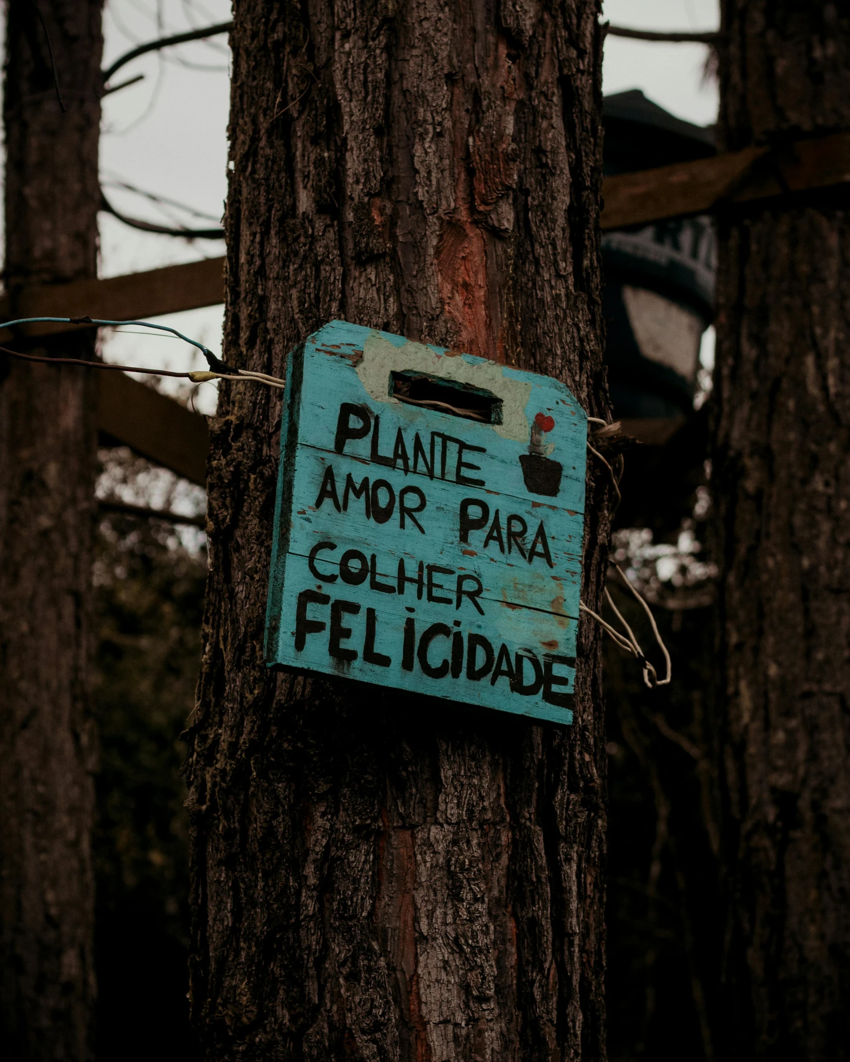 there is a sign posted on the side of a tree