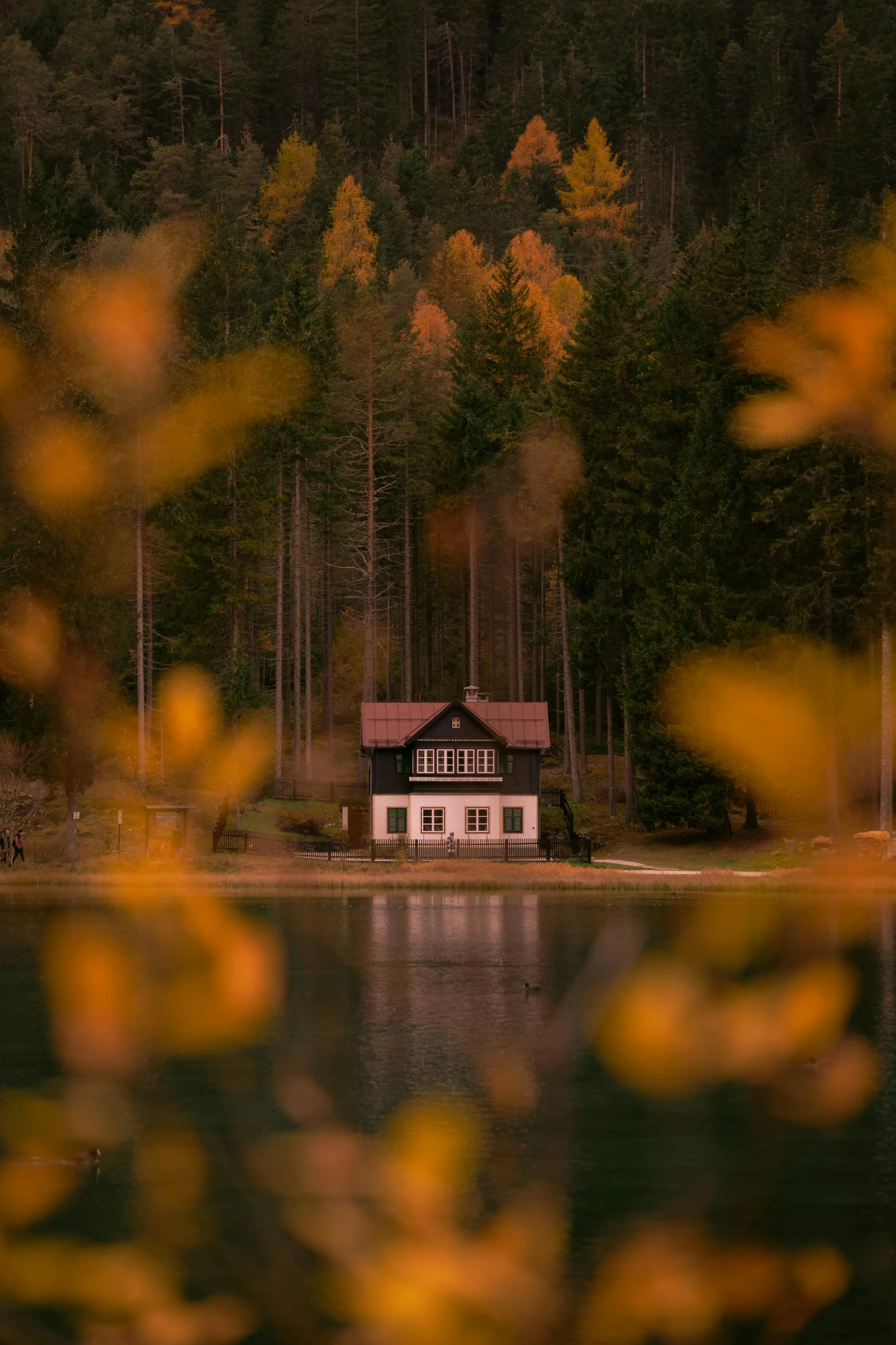 a house on the side of a lake surrounded by trees