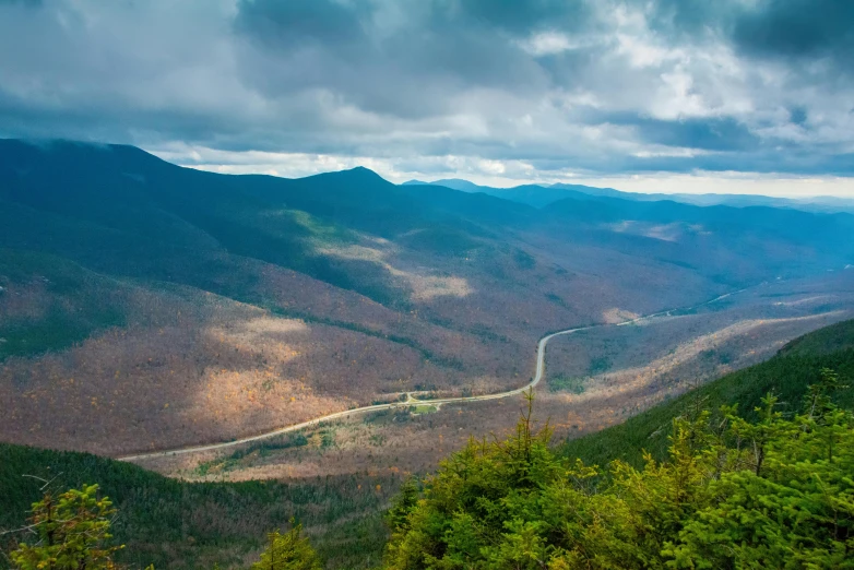 a large mountain covered with lots of trees