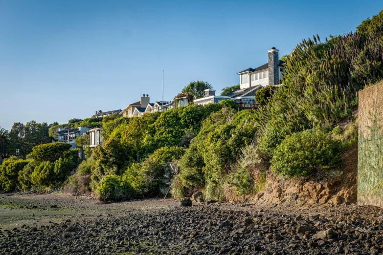 a row of buildings sitting above trees on the edge of a cliff