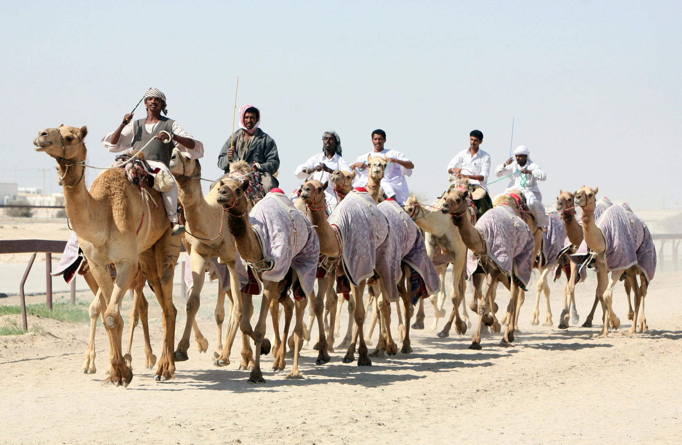 men on camels and riders in the desert