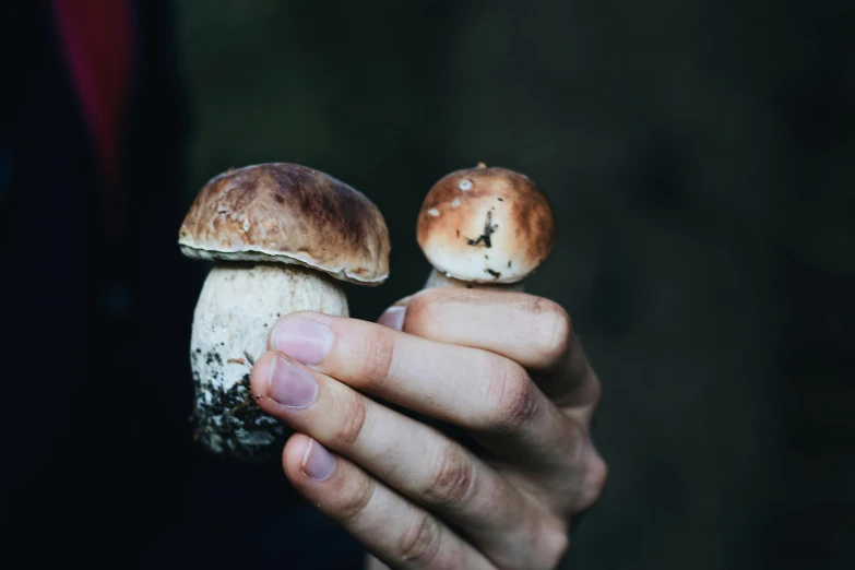 two tiny mushrooms with faces on one hand