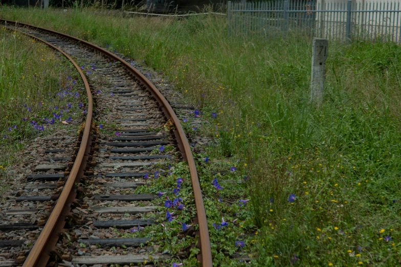 an old railroad track with wildflowers and a fence