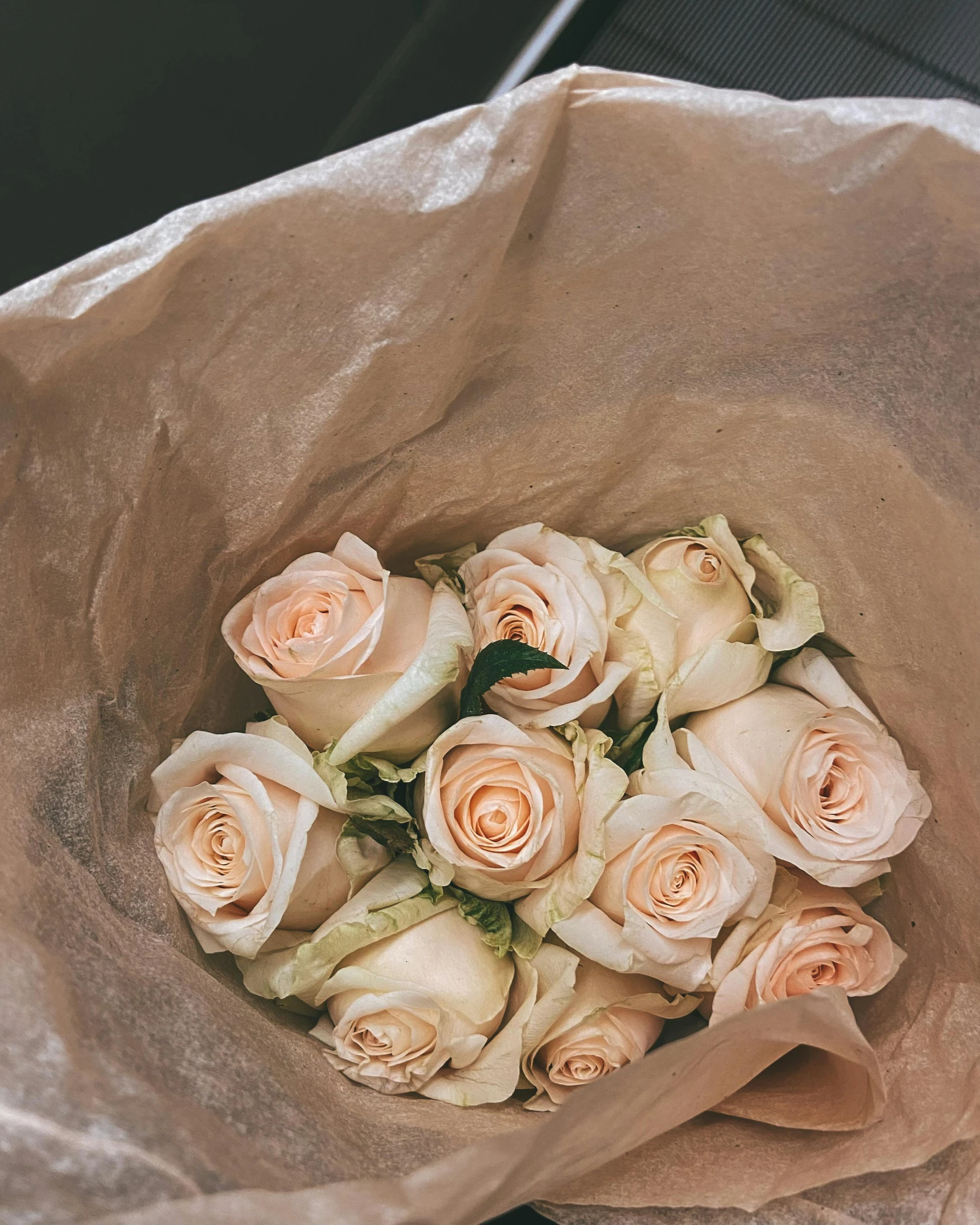 several large roses lay together inside of a paper bag