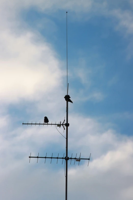 an antenna with two birds on top and the other wire extended