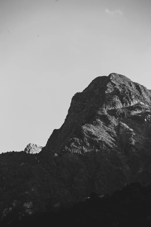 mountainside and forest under a clear sky