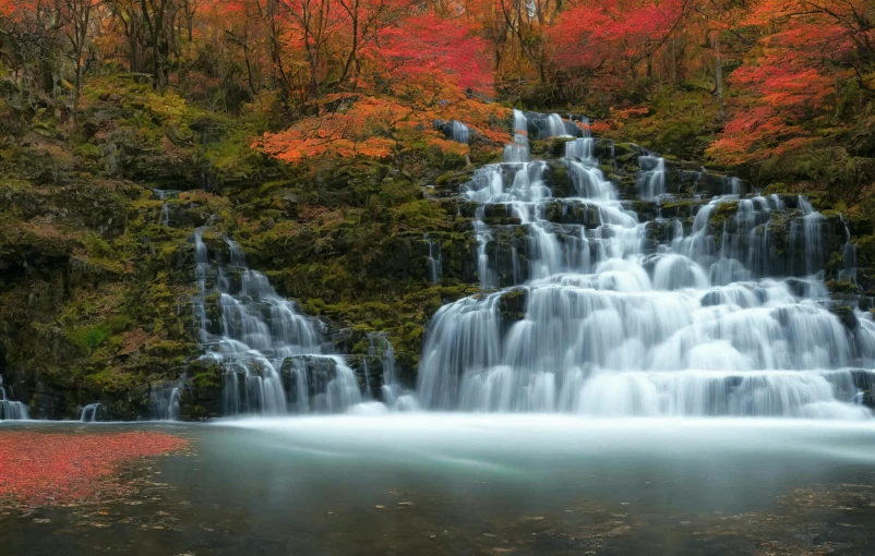 the water has many waterfalls near the trees