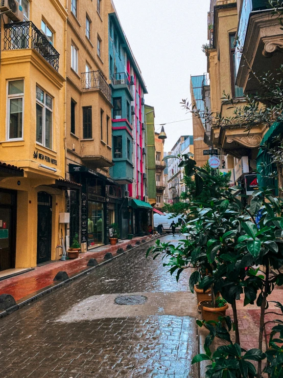 a narrow city street has several buildings, trees and a potted tree in the middle