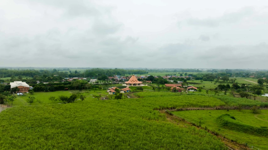 a large field with houses in the background