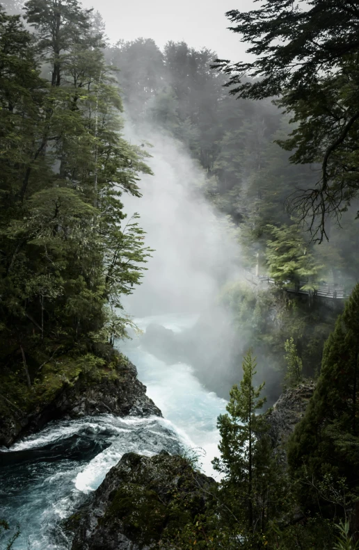 a small river that is surrounded by trees