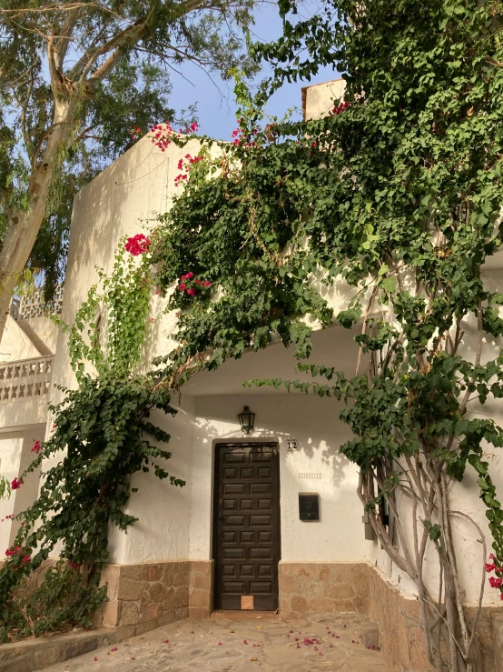 a white stucco building with a black door and ivy surrounding it