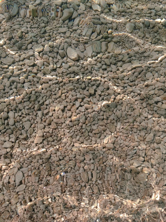 an extreme close up view of a patch of rocks