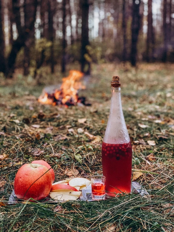 a bottle of wine sits on a blanket near an apple, cinnamon and apple slices