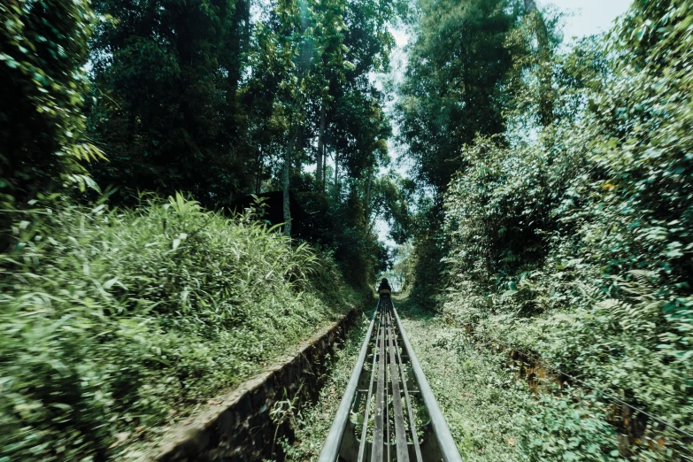 a train track is in the middle of a dense, tree - lined area