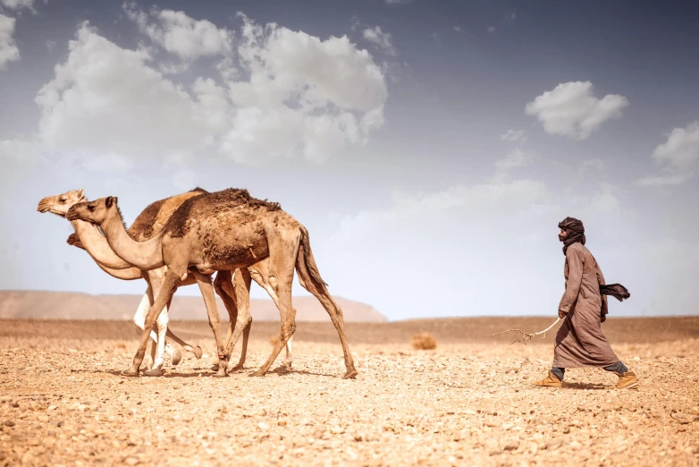 a man with a camel walking in the desert