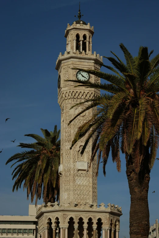 there are two palm trees near a tower