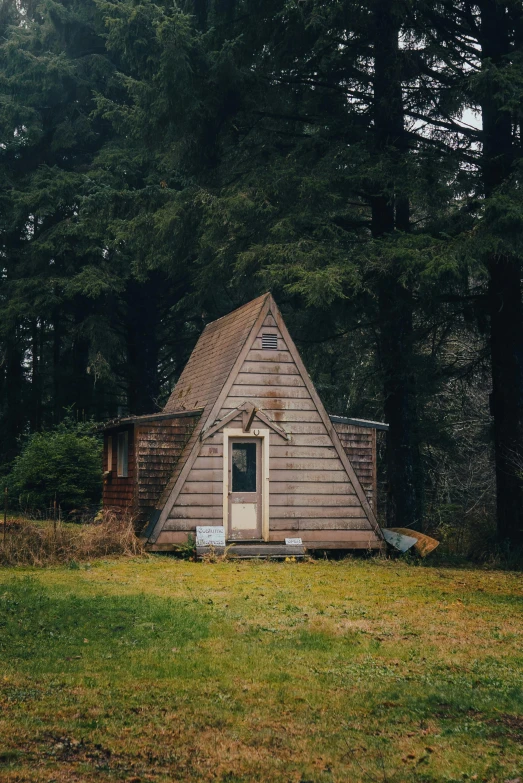 a rustic style building in the middle of a tree forest