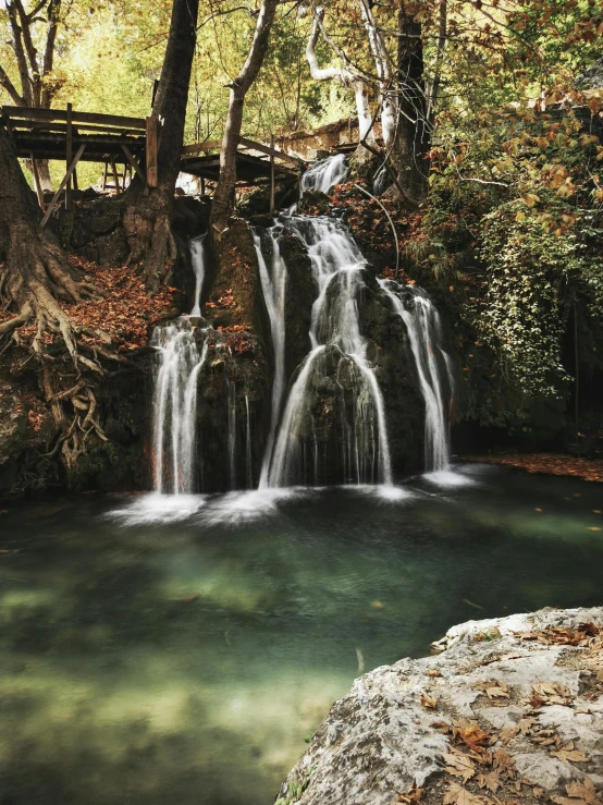 a waterfall is surrounded by leafy trees and foliage