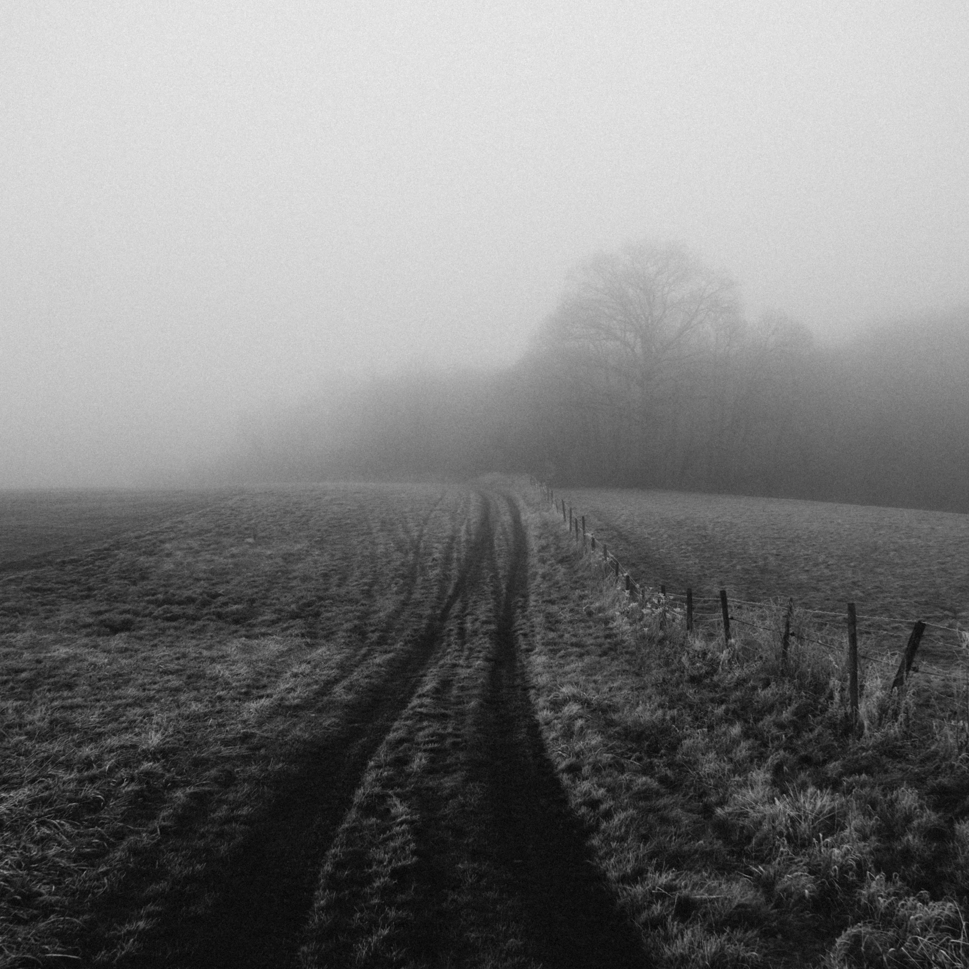 fog and mist over farmland on an open plain