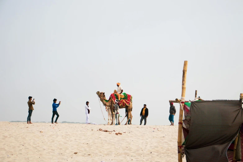 a few people on a sandy beach with a camel