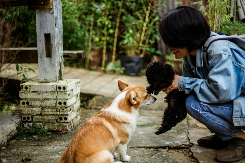 a man petting his dog sitting outside