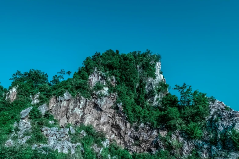 some green trees bushes and rocks on a hill