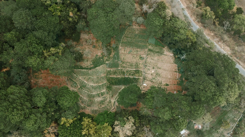 a large lot surrounded by a forest with lots of trees