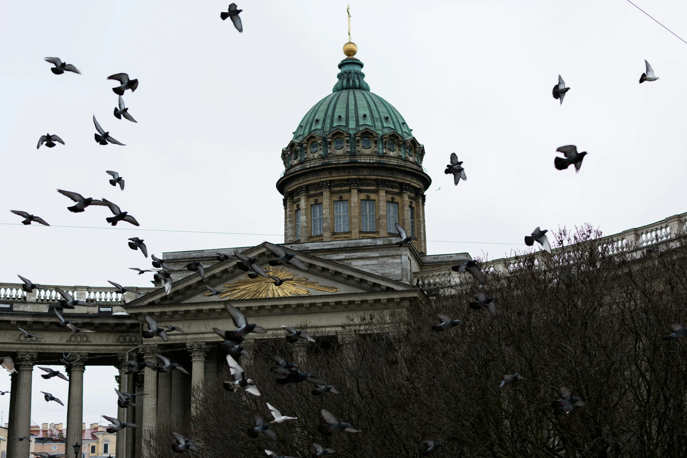 many birds are flying around the dome of a building