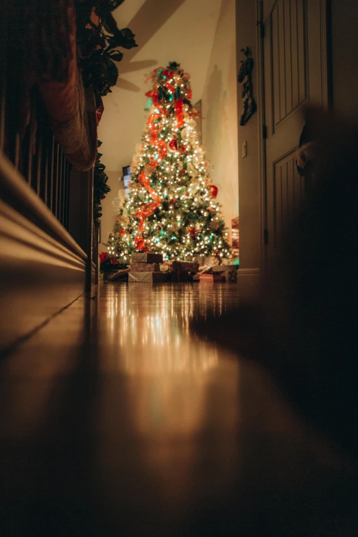 the lighted christmas tree is near the doorway of a house