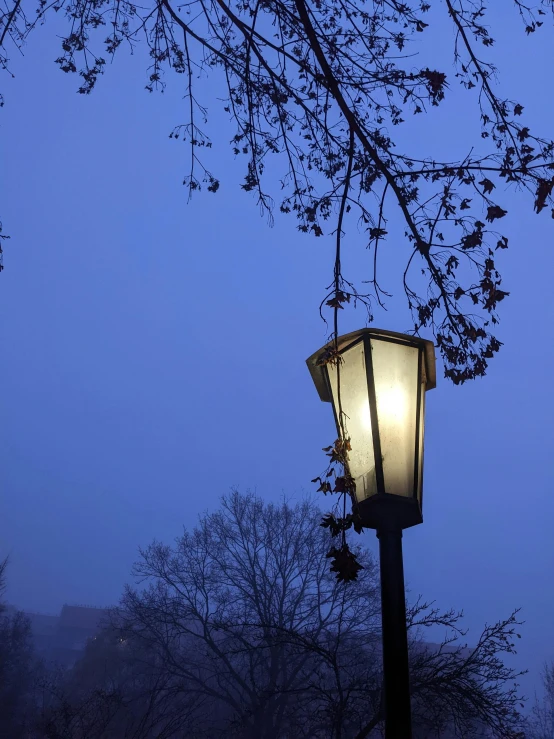 an old - fashioned street light stands against the dark background