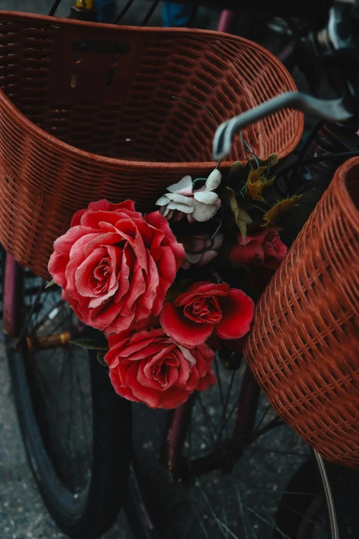 basket of flowers attached to a bicycle