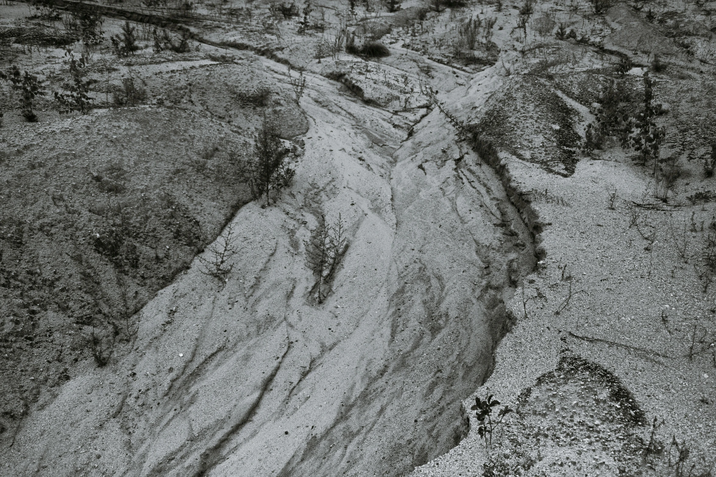 a view of the ground at an overlook of a canyon