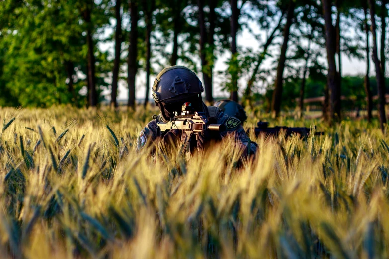 an airborne soldier with a rifle in a grassy field