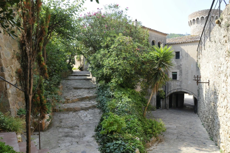 an image of a stone pathway between buildings