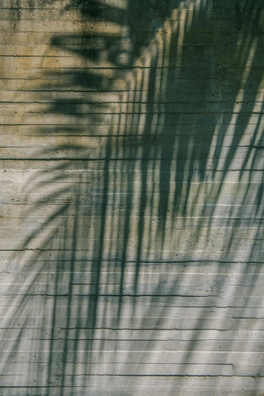 shadows cast on an empty sidewalk on a sidewalk wall