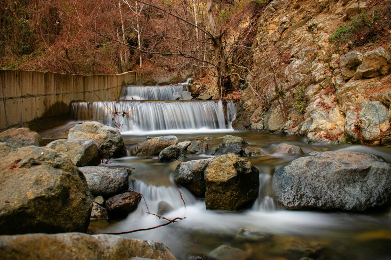 a small waterfall flows through a forested stream