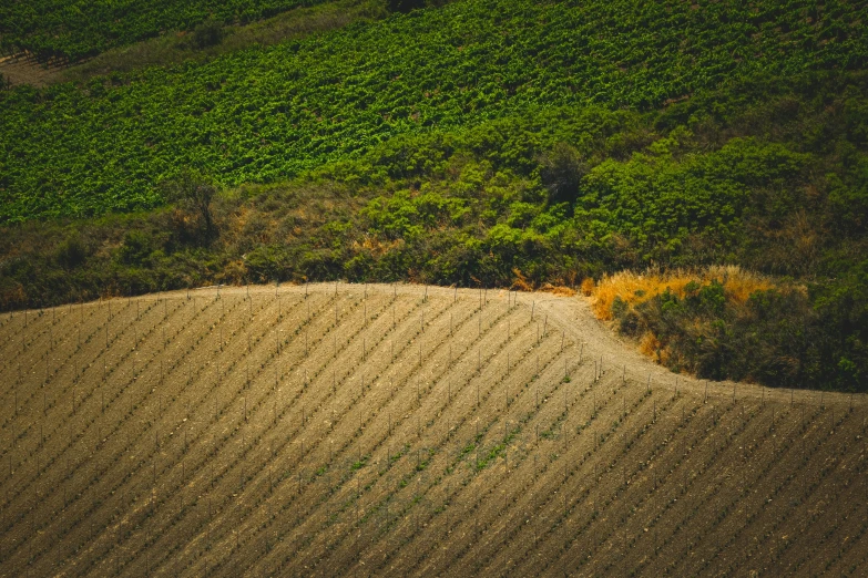 the view from the air looking down on a dirt patch and green field