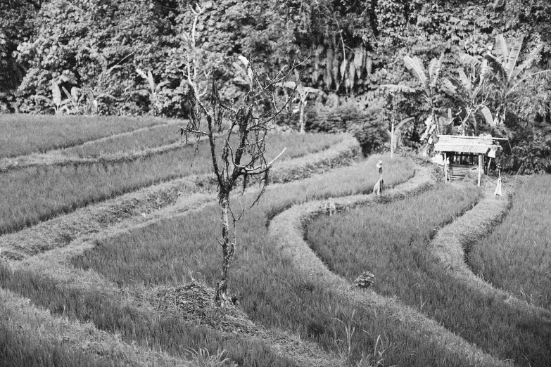 two people walking through an open field near a small house