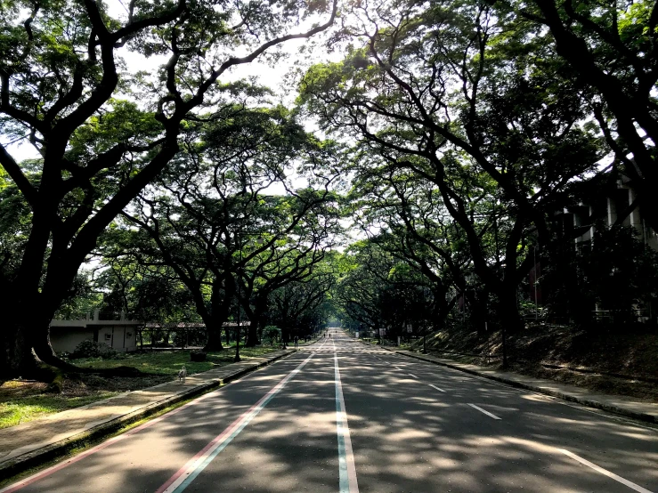 street in a neighborhood with cars and trees