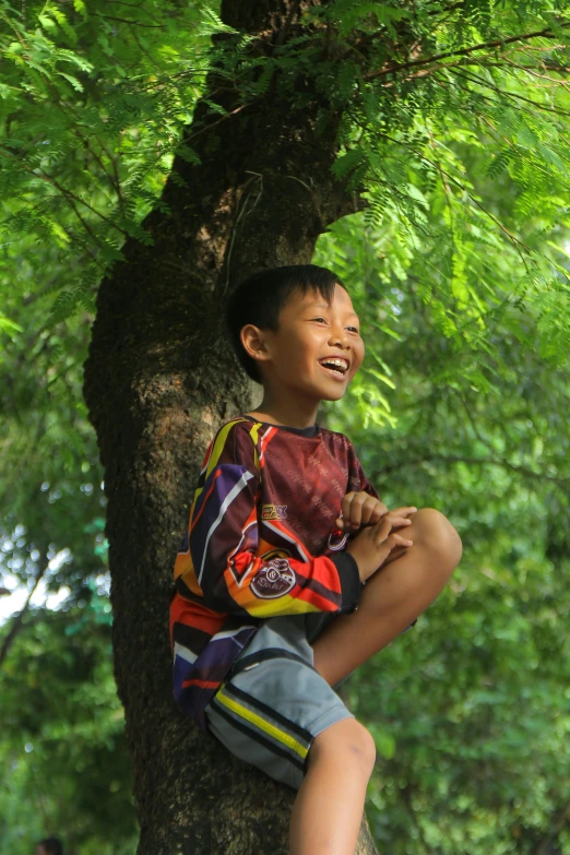 a young child sitting up in a tree