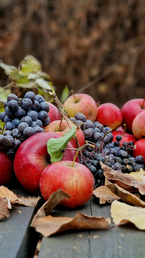 apples and gs on a picnic table