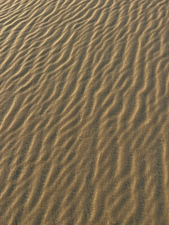 desert - like terrain with lines in the sand