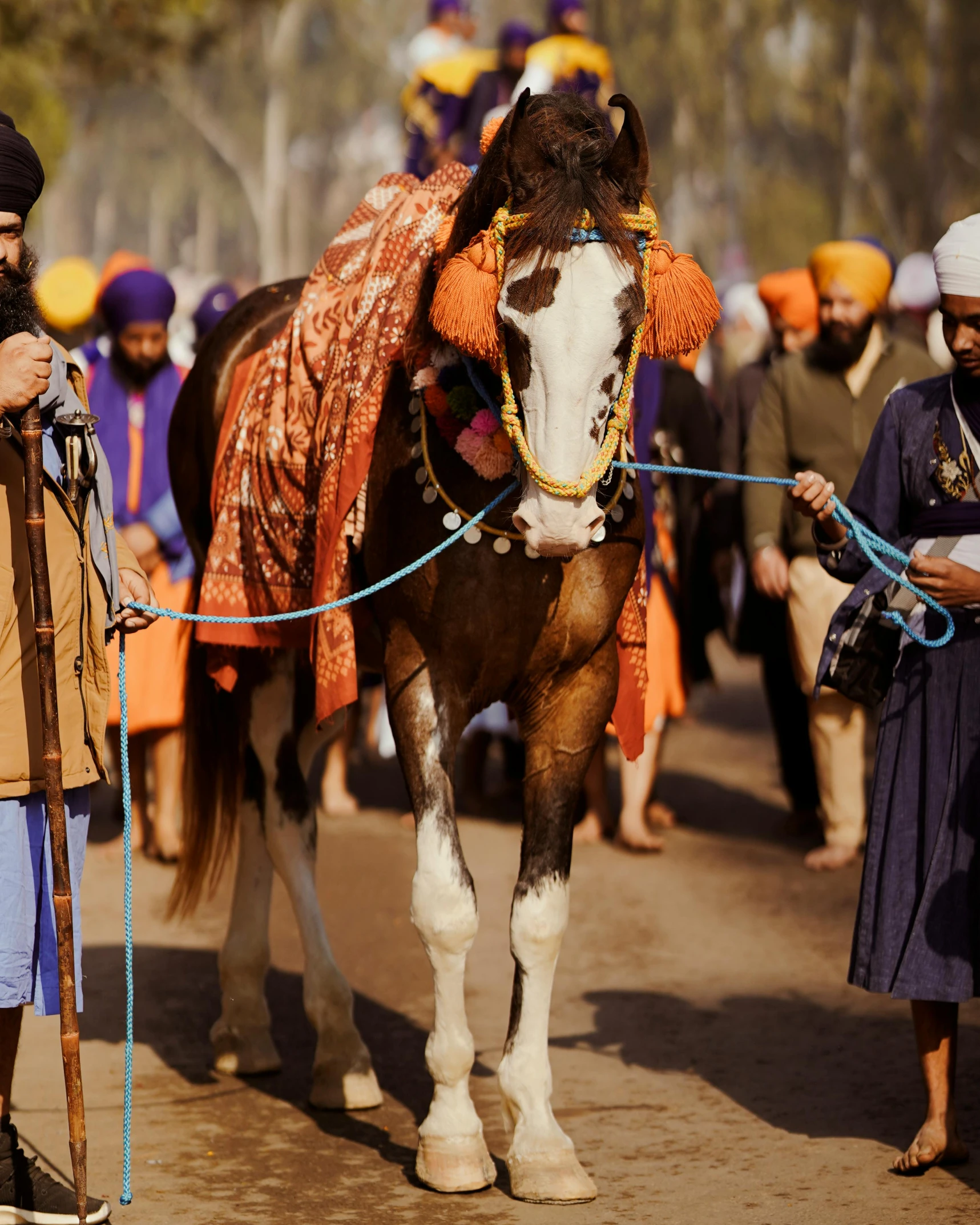 man leads a horse through a street wearing colorful attire