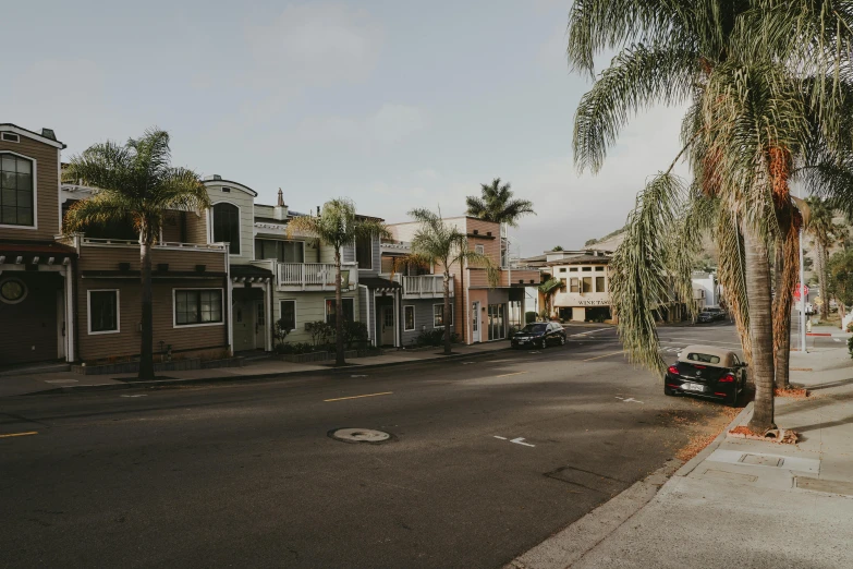 a street is pictured in the midst of a tropical climate