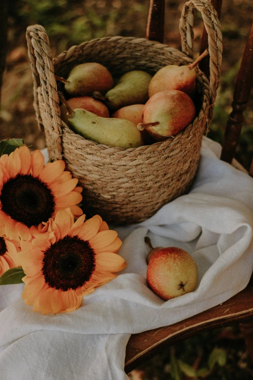 a basket of apples sitting on top of a table