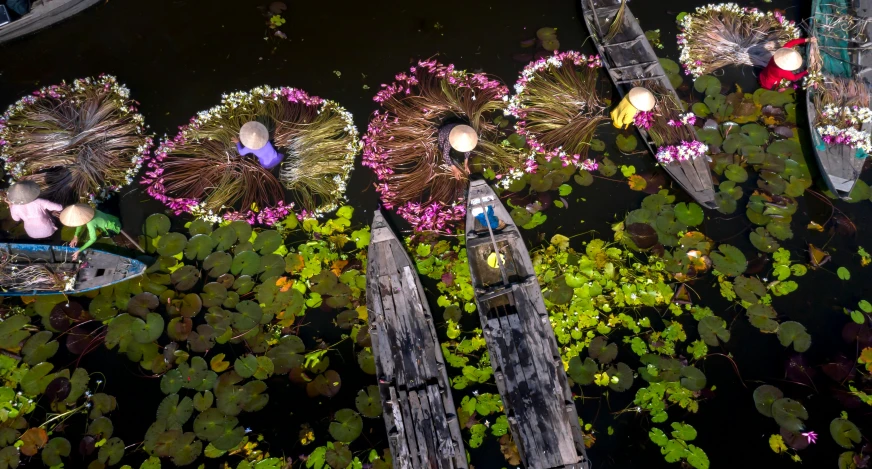 the boats are floating in the water next to lily pads