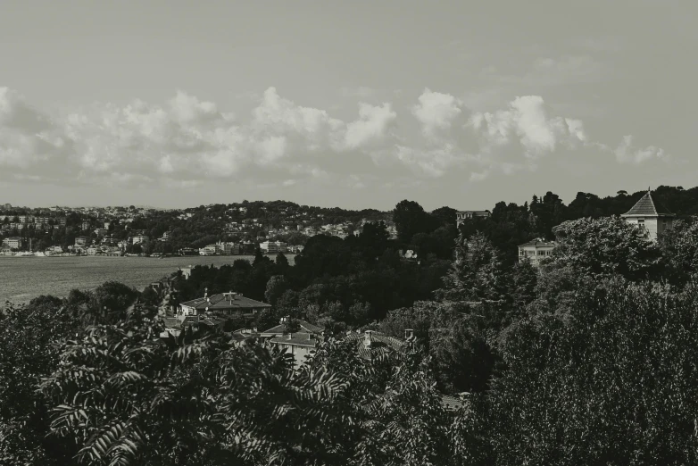 a scenic picture with some trees and a body of water in the distance