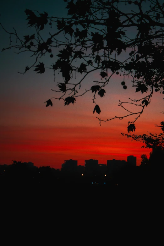 the sun setting over the skyline, in the distance, on a horizon