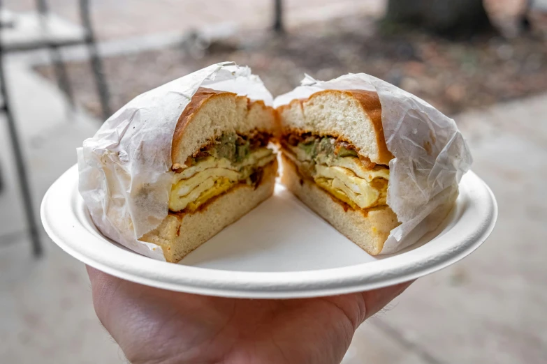 a person holding a half eaten sandwich on a plate